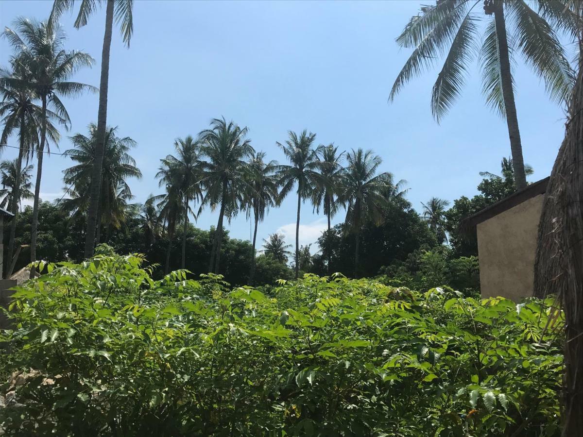 Meno Madia Bungalows Gili Meno Eksteriør bilde