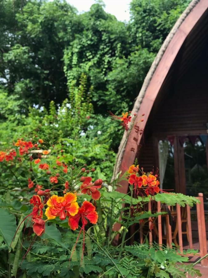 Meno Madia Bungalows Gili Meno Eksteriør bilde